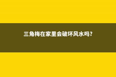 姐姐家的三角梅多肉…院子都塞不下，壕无人性！ (三角梅在家里会破坏风水吗?)