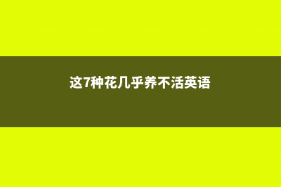 这7种花几乎养不死，绿萝竟然只排第二，第一名竟然是…… (这7种花几乎养不活英语)