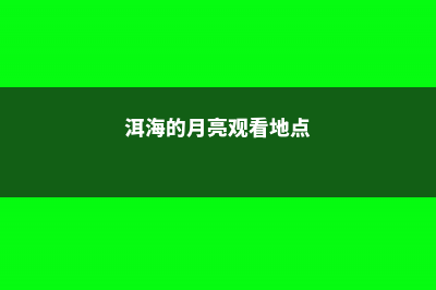 洱海边，月亮宫里，她用心创造了一个世外桃源 (洱海的月亮观看地点)