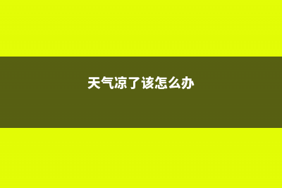 天气凉了，这样的多肉瀑布你不想要吗？ (天气凉了该怎么办)