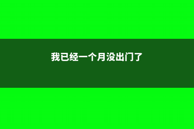 出门1个月，没有给这些花浇水，没想到长得更旺了！ (我已经一个月没出门了)