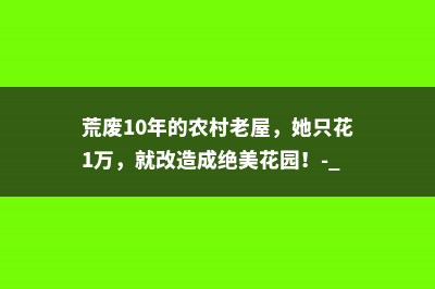 荒废10年的农村老屋，她只花1万，就改造成绝美花园！- 