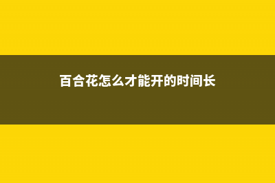 如何延长百合花的花期？6个小妙招！ (百合花怎么才能开的时间长)