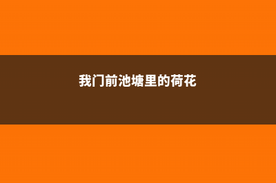 门前荷塘，院里繁花，小两口回农村，6年过上神仙般的田园生活！ (我门前池塘里的荷花)