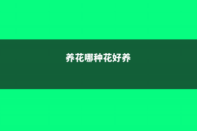 这9种花，养花杀手都难养死，你再养不活我就没招了！ (养花哪种花好养)