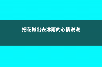 把这花搬进厨房，能吃能看还能吸油烟，看着就凉快！ (把花搬出去淋雨的心情说说)