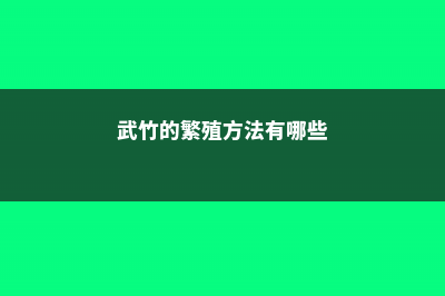 武竹的繁殖方法 (武竹的繁殖方法有哪些)