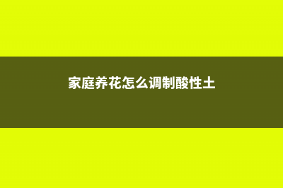 家庭养花应该怎么合理施肥 (家庭养花怎么调制酸性土)