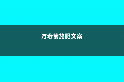 万寿菊怎么施肥 (万寿菊施肥文案)