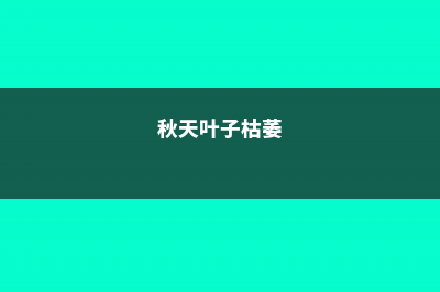 入秋后叶枯病的防治方法 (秋天叶子枯萎)