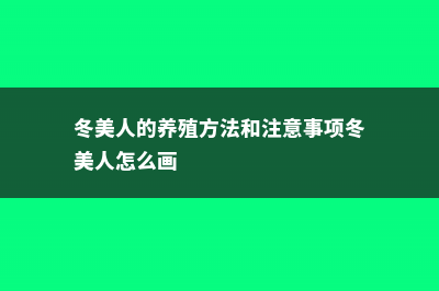 冬美人的养殖方法和注意事项 (冬美人的养殖方法和注意事项冬美人怎么画)