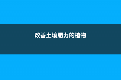 改善土壤肥力的小方法 (改善土壤肥力的植物)