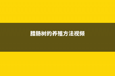 腊肠树的养殖方法和注意事项 – (腊肠树的养殖方法视频)