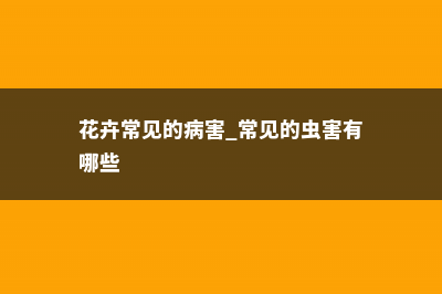 花卉常见的病害类型 – (花卉常见的病害 常见的虫害有哪些)