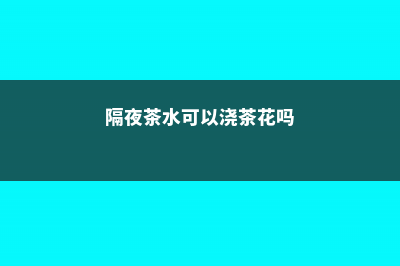 隔夜茶浇花好不好 (隔夜茶水可以浇茶花吗)