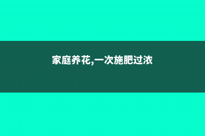 养花施用浓肥对不对 – (家庭养花,一次施肥过浓)