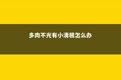 多肉不光有小清新,更有丑八怪,看了就想吐 (多肉不光有小清根怎么办)