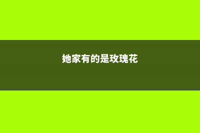 她家的花一开,十里八乡都跑去看,门槛都踩破了 (她家有的是玫瑰花)