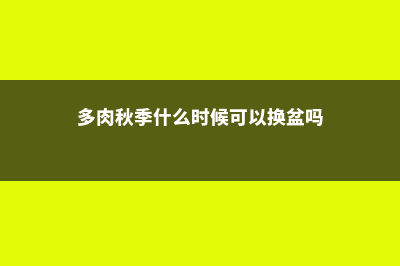 多肉入秋前五个“不要” (多肉秋季什么时候可以换盆吗)