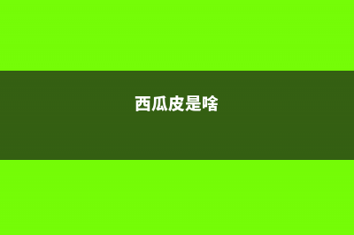 西瓜皮居然有这么多神奇功效,帮你剩下大笔买药钱 (西瓜皮是啥)