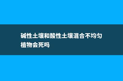 碱性土壤和酸性土壤应该种什么花 (碱性土壤和酸性土壤混合不均匀植物会死吗)