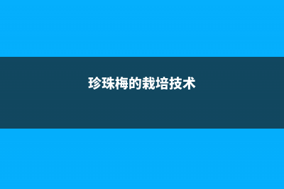 珍珠梅养殖四大误区 (珍珠梅的栽培技术)