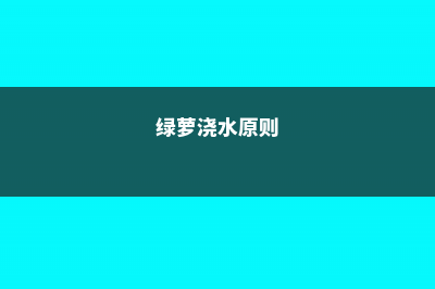 绿萝浇水注意事项 (绿萝浇水原则)