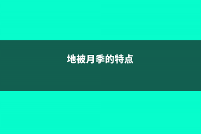 地被月季什么时间开花 (地被月季的特点)