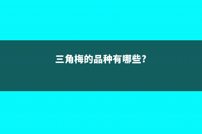 三角梅的品种特点 (三角梅的品种有哪些?)