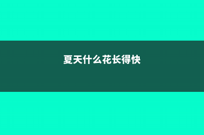 这些花夏天长最快,错过这段时间,后悔都来不及 (夏天什么花长得快)