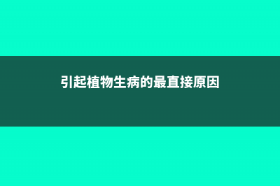 导致植物发生病害的环境因素 (引起植物生病的最直接原因)