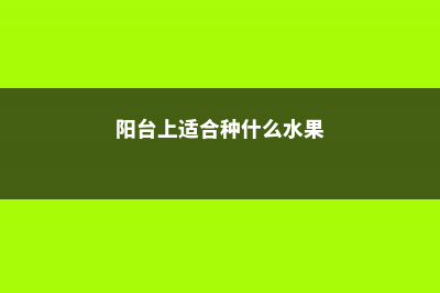 阳台上适合种什么蔬菜 (阳台上适合种什么水果)