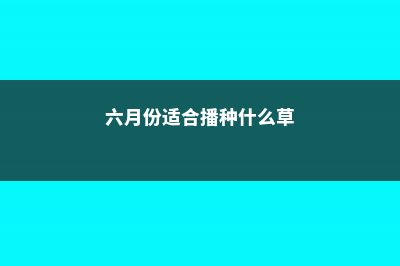 六月份适合播种的植物有哪些 (六月份适合播种什么草)