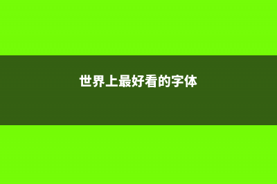 世界上最好看的多肉,我都给你找齐了 (世界上最好看的字体)