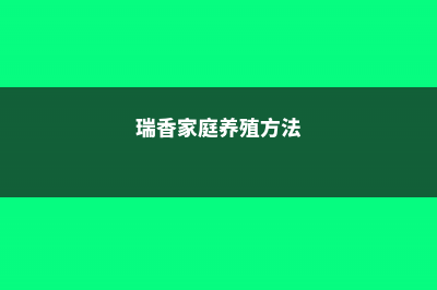 瑞香家庭养殖方法 (瑞香家庭养殖方法)