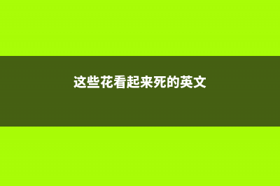 这些花看起来死了,其实还活着,明年就能开花 (这些花看起来死的英文)