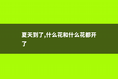 夏天,这些花越浇水越死 (夏天到了,什么花和什么花都开了)