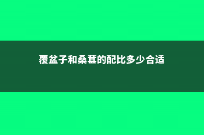 覆盆子和桑葚的区别 (覆盆子和桑葚的配比多少合适)