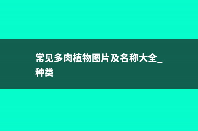 258种常见多肉图谱,1分钟认全 (常见多肉植物图片及名称大全 种类)