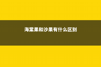 海棠果和沙果有哪些不同 (海棠果和沙果有什么区别)