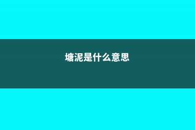 塘泥是什么 (塘泥是什么意思)