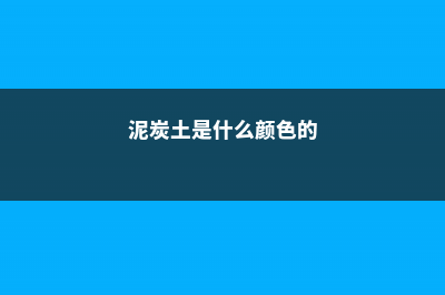 泥炭土是什么 (泥炭土是什么颜色的)