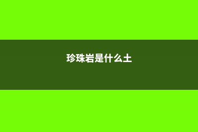 珍珠岩是什么 (珍珠岩是什么土)