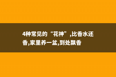 这几种花神了，越忘记浇水，开花越旺 – (4种常见的“花神”,比香水还香,家里养一盆,到处飘香)