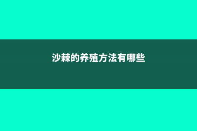 沙棘的养殖方法和注意事项 (沙棘的养殖方法有哪些)