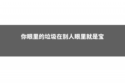 你眼中的垃圾，拿来养花棒呆了！后悔丢了么 (你眼里的垃圾在别人眼里就是宝)