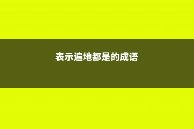 这些遍地都是的小东西，捡来养花，真是赚大了 (表示遍地都是的成语)