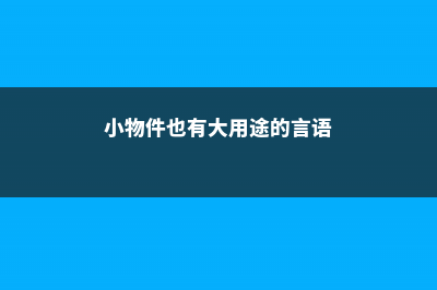 这几个小物件都能做花盆，你都知道吗 (小物件也有大用途的言语)