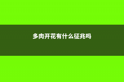 多肉开花，十分惊艳，可是要怎么养呢 (多肉开花有什么征兆吗)