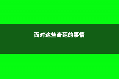 面对这些奇葩的养花方式，我只能目瞪口呆 (面对这些奇葩的事情)